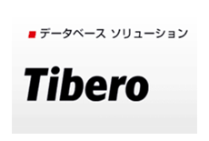 Tibero RDBMS